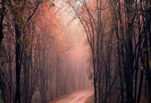 AC米兰主帅谈欧冠，调整战术备战残酷对手