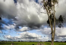 AC米兰主帅谈欧冠，调整战术备战残酷对手