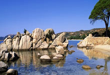 德国队取胜克罗地亚，备受关注的胜利赛程引发热议